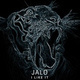 Обложка для Jalo - Into The Groove