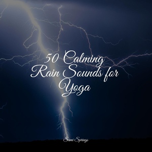 Обложка для Relaxing Sleep Sound, Rain Storm Sample Library, The Sleep Helpers - Tropical Forest, Subtle Stream, Animals