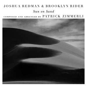 Обложка для Joshua Redman, Brooklyn Rider, Patrick Zimmerli feat. Satoshi Takeishi, Scott Colley - Through Mist (with Scott Colley & Satoshi Takeishi)