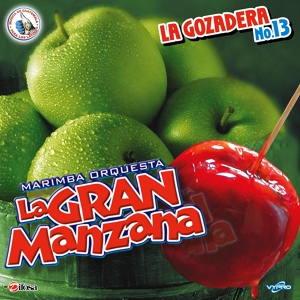Обложка для Marimba Orquesta La Gran Manzana - El Tigre