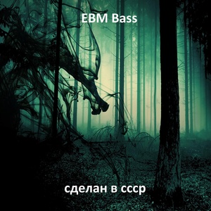Обложка для сделан в ссср - Ebm Bass