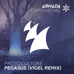 Обложка для Protoculture, Vigel - Pegasus