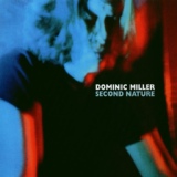Обложка для Dominic Miller - Lullaby To An Anxious Child