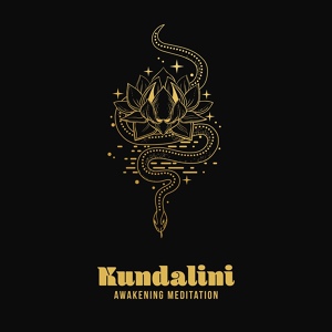 Обложка для Kundalini Yoga Group, Chakra Music Zone, Buddhist méditation académie - Aura Cleanse