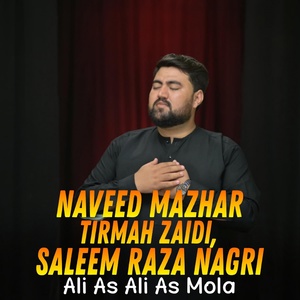 Обложка для Saleem Raza Nagri, Tirmah Zaidi, Naveed Mazhar - Ali As Ali As Mola