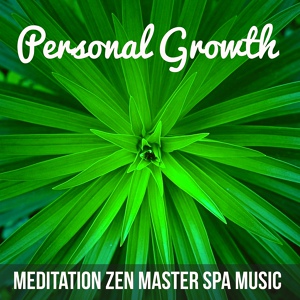 Обложка для Zen Nadir - Best Relaxing SPA Music