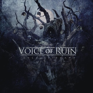 Обложка для Voice Of Ruin - Bloody Salvation