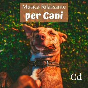 Обложка для Pet Music World - Occhi neri (canzone per il mio cane)