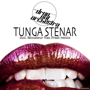 Обложка для Drop Out Orchestra - Tunga Stenar