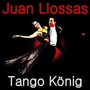 Обложка для Juan Llossas - Nachts am Kongo