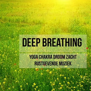 Обложка для Relaxing Mindfulness Meditation Relaxation Maestro - Relaxing Piano Music (Wellness)
