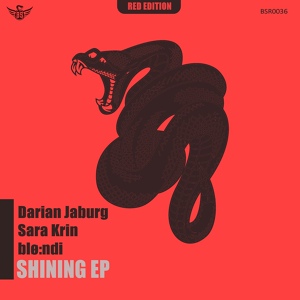 Обложка для Darian Jaburg - Shining