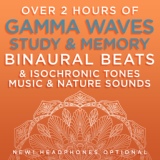 Обложка для Binaural Beats Research, David & Steve Gordon - Calm Focus Study Music - 48.9 Hz Gamma Frequency Binaural Beats