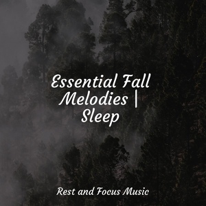 Обложка для Meditative Music Guru, Lullabies for Deep Meditation, Sleepy Times - Solemn Spring