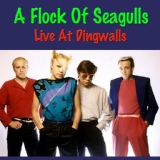 Обложка для A Flock Of Seagulls - Modern Love Is Automatic