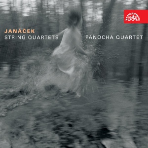 Обложка для Panocha Quartet - String Quartet No. 1 "Kreutzer Sonata": IV. Con moto - Adagio