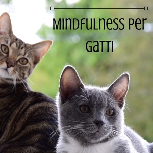 Обложка для Zen Boutique - Mindfulness e Animali