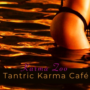 Обложка для Karma Zoo - Ambient