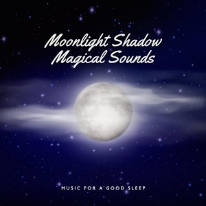 Обложка для Moon Eclipse Ensemble - Midnight