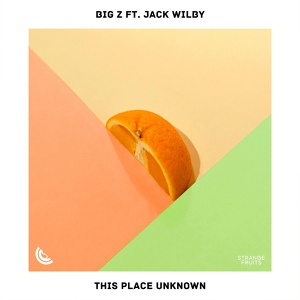 Обложка для Big-Z-This-Place - Unknown-feat-Jack-Wilby