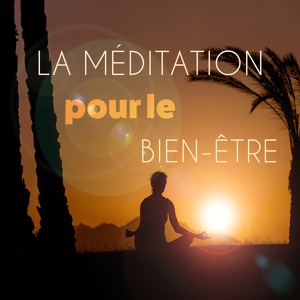 Обложка для Zen Méditation Ambiance - Flûte amérindienne