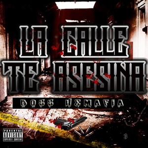 Обложка для Boss Hemafia - Ya No Tiene Caso