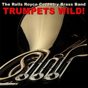 Обложка для Rolls Royce Coventry Brass Band - Twelfth Street Rag