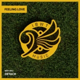 Обложка для Detach - Feeling Love (Original Mix)