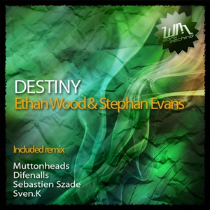 Обложка для Ethan Wood & Stephan Evans - Destiny