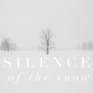 Обложка для Abby Mettry - Silence of the Snow