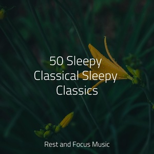 Обложка для Regengeräusche, White Noise Baby Sleep, Best Kids Songs - Auras of Sound