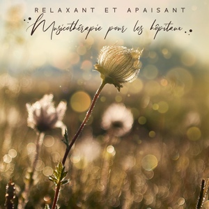 Обложка для Académie de bien-être - Oasis de paix