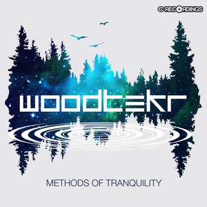 Обложка для Woodtekr - Floating Feathers