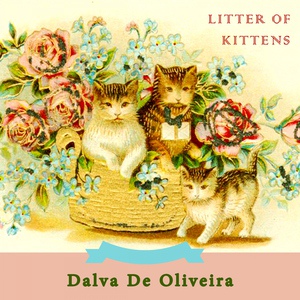 Обложка для Dalva de Oliveira - Calúnia