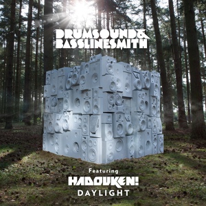 Обложка для Drumsound &amp; Bassline Smith Ft Hadouken - Daylight ( South Central Remix )