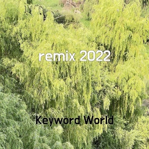 Обложка для Keyword World - remix 2022