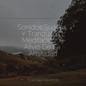 Обложка для Meditación Maestro, Naturaleza Sonidos, Música Relajante Piano Master - Sonidos Aromáticos