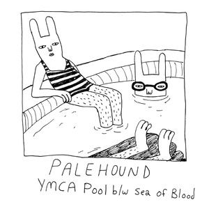 Обложка для Palehound - YMCA Pool