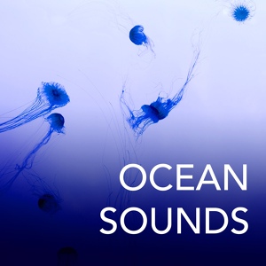 Обложка для Ocean Waves Specialists - Natural Rain