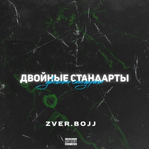 Обложка для Zver.Bojj - Двойные стандарты