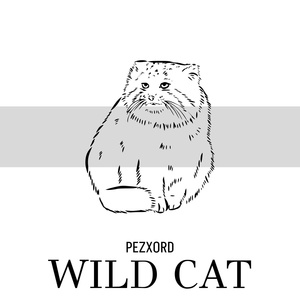 Обложка для Pezxord - Swiss Raven