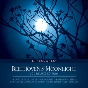 Обложка для Ludwig van Beethoven - Piano Sonata No. 14 in C Sharp Minor, Op. 27, "Moonlight": II. Allegretto