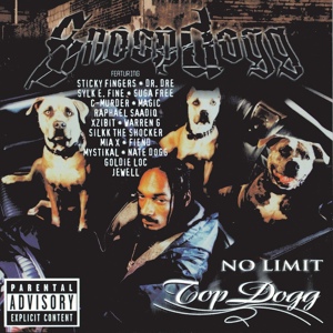 Обложка для Snoop Dogg - Snoopafella