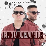 Обложка для Yandar y Yostin Ft Andy Rivera - Te Pintaron Pajaritos