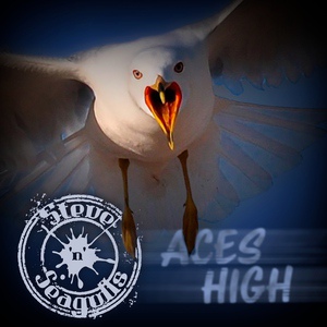 Обложка для Steve ‘n’ Seagulls - Aces High