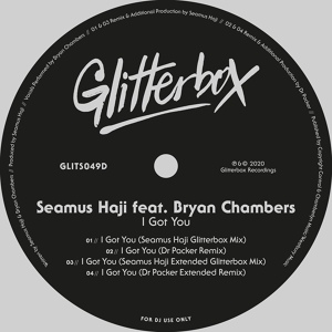 Обложка для Seamus Haji feat. Bryan Chambers - I Got You (feat. Bryan Chambers)