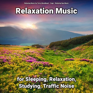 Обложка для Relaxing Music by Terry Woodbead, Yoga, Relaxing Spa Music - Relaxing Music for The Hospital