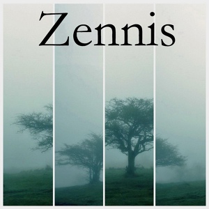 Обложка для Zennis - Закат в дождливый день