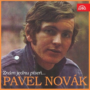 Обложка для Pavel Novák - Jovana