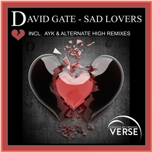 Обложка для David Gate - Sad Lovers (Alternate High Remix)